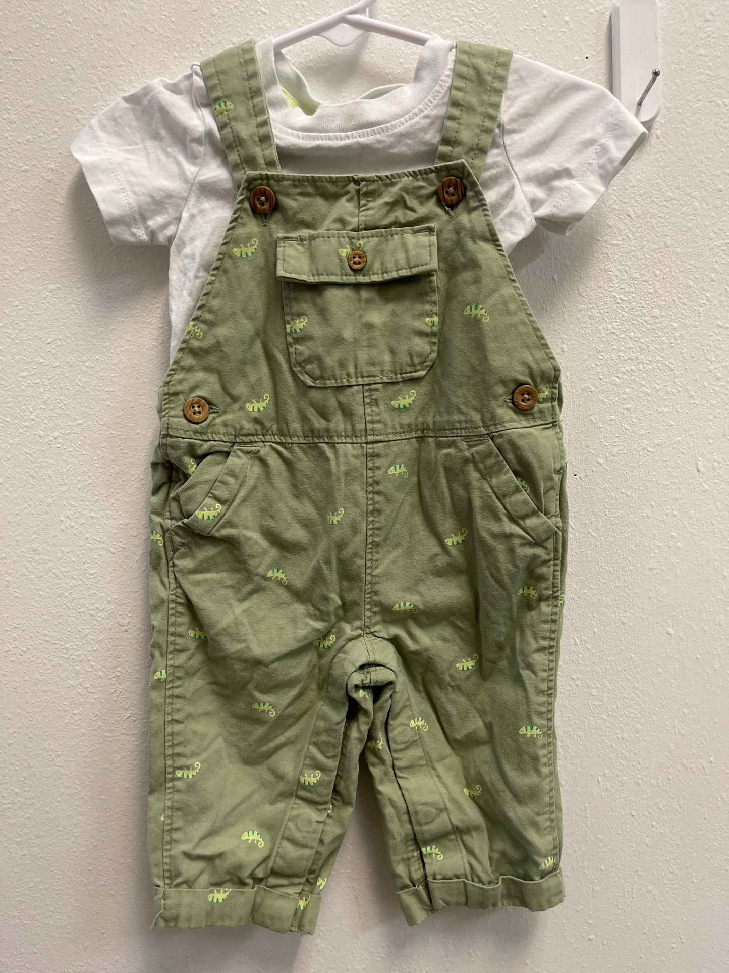 6m Carters Chameleon Overall Set