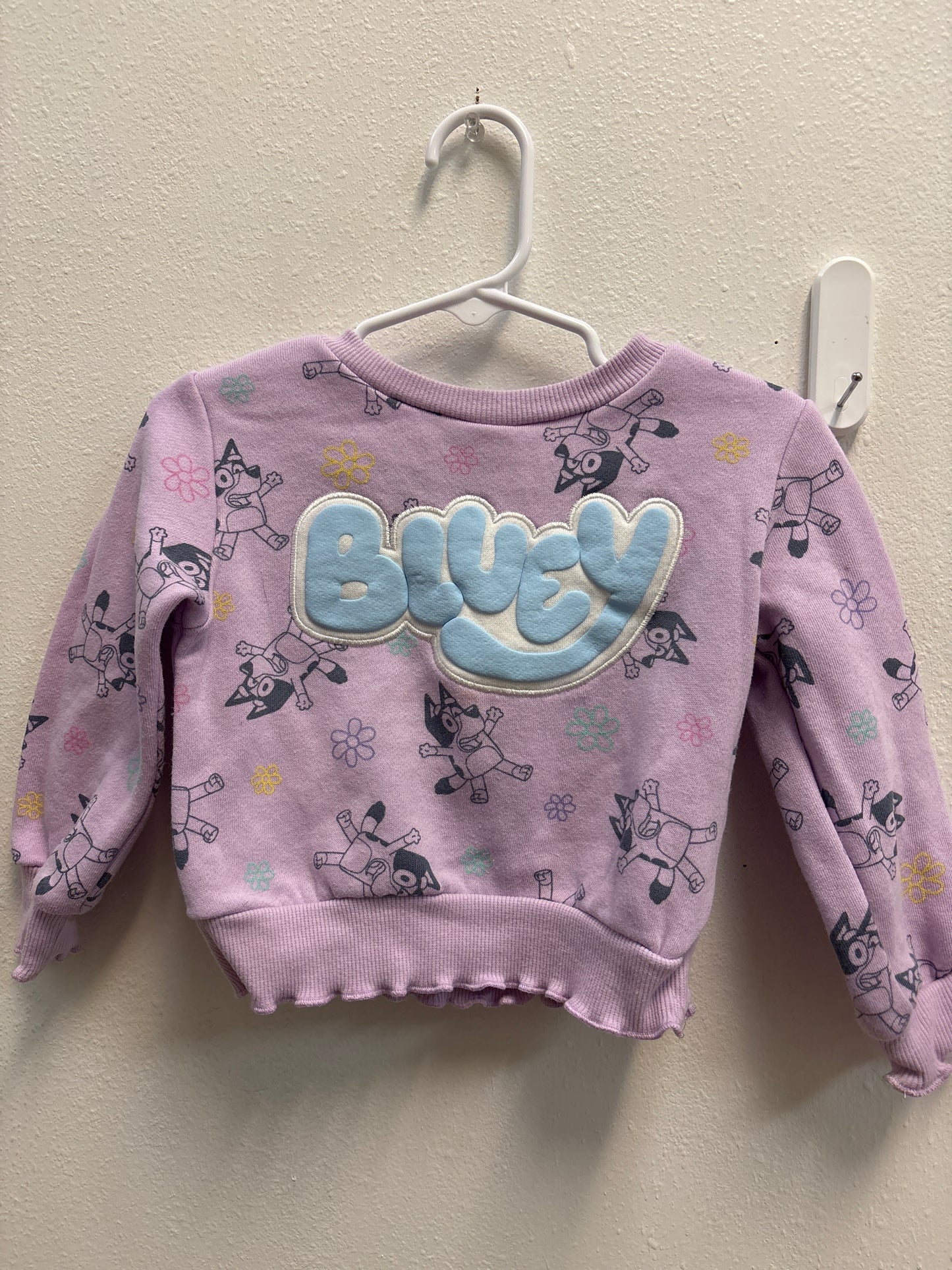 2T Bluey Sweatshirt