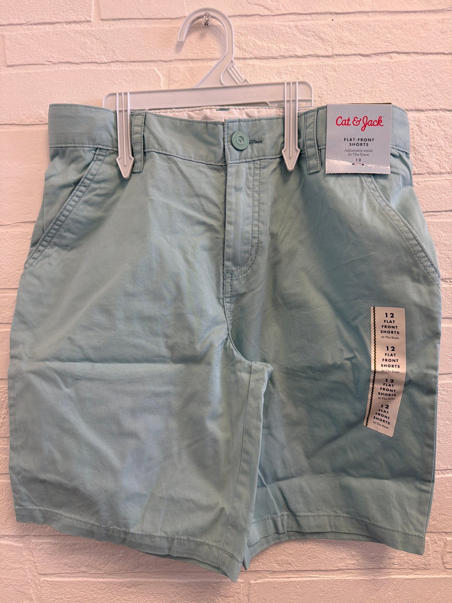 12 NEW Flat Front Shorts Mint