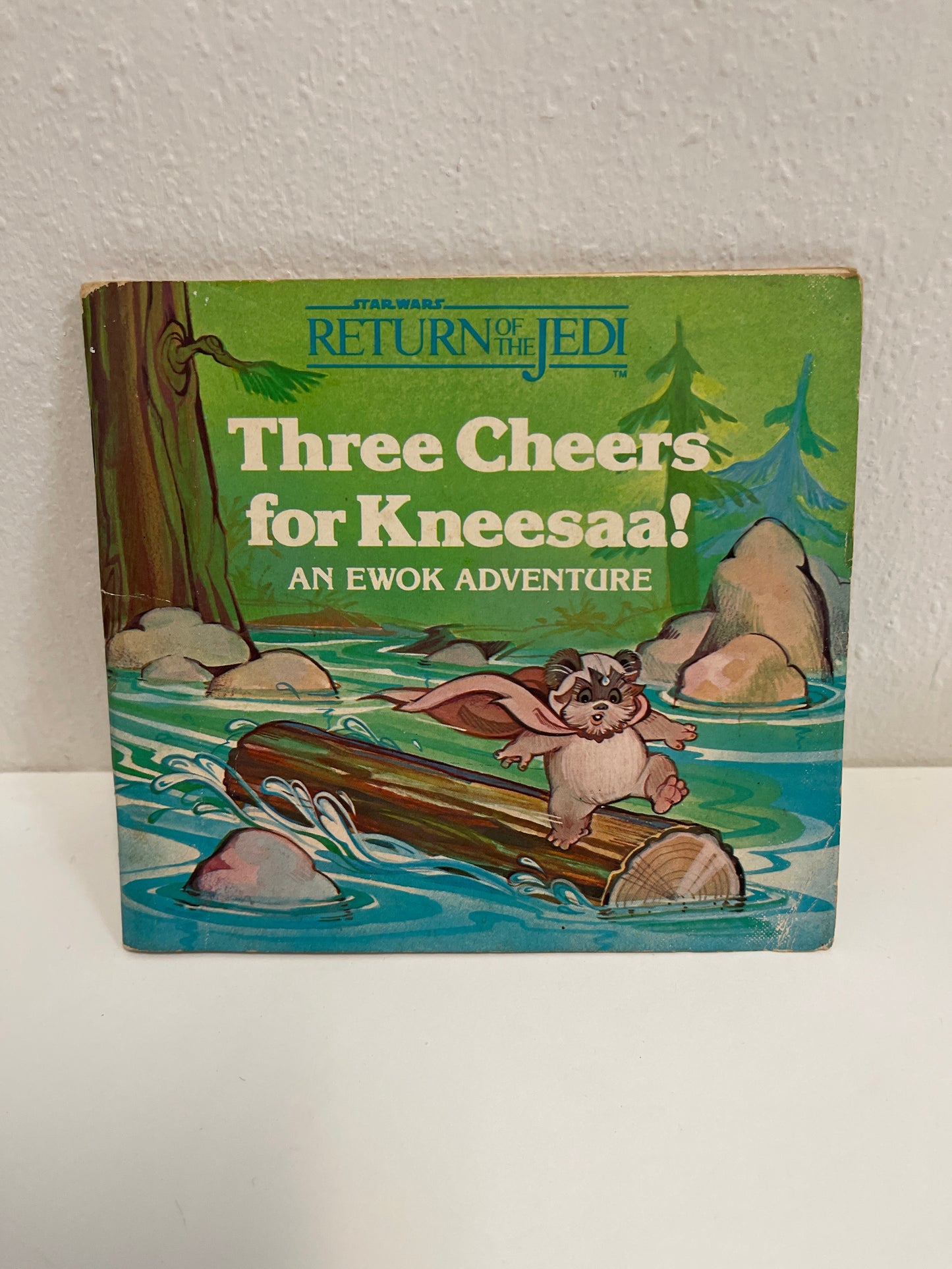 Vintage Three Cheers for Kneesaa Book