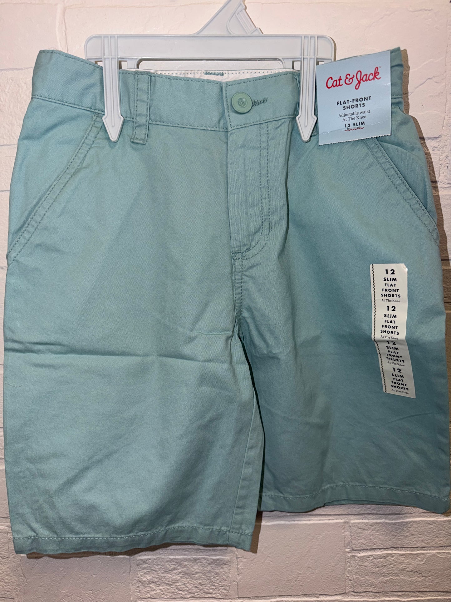 12 Slim NEW Flat Front Shorts Mint