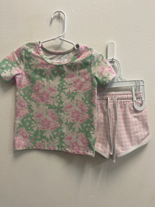2t Sweet Honey Pink Green Floral + Gingham Set