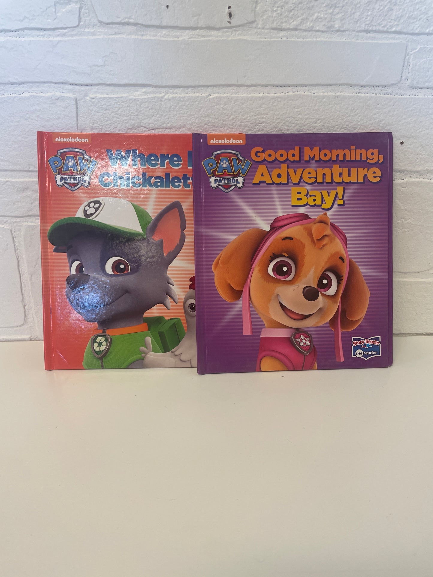 Paw Patrol Book Set (6)