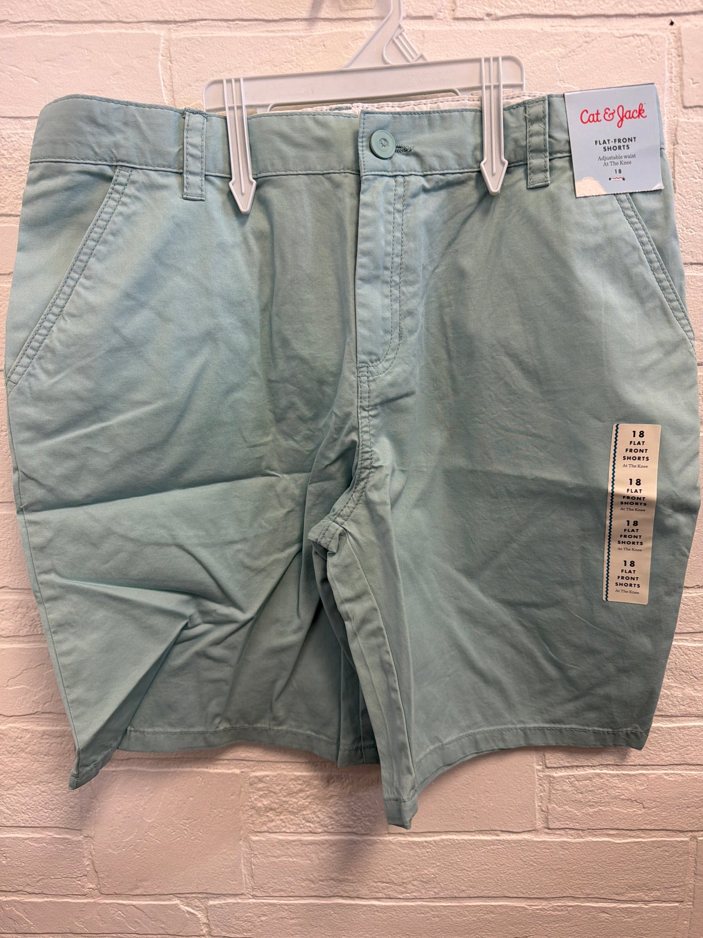 18 NEW Flat Front Shorts Mint