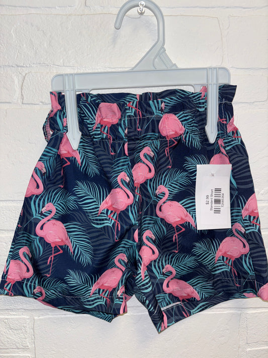 18-24m Blue Pink Flamingo Shorts
