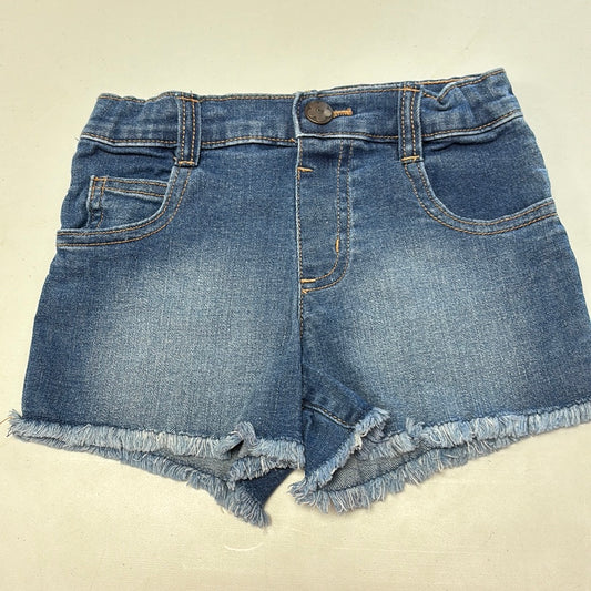 5 Frayed Denim Shorts