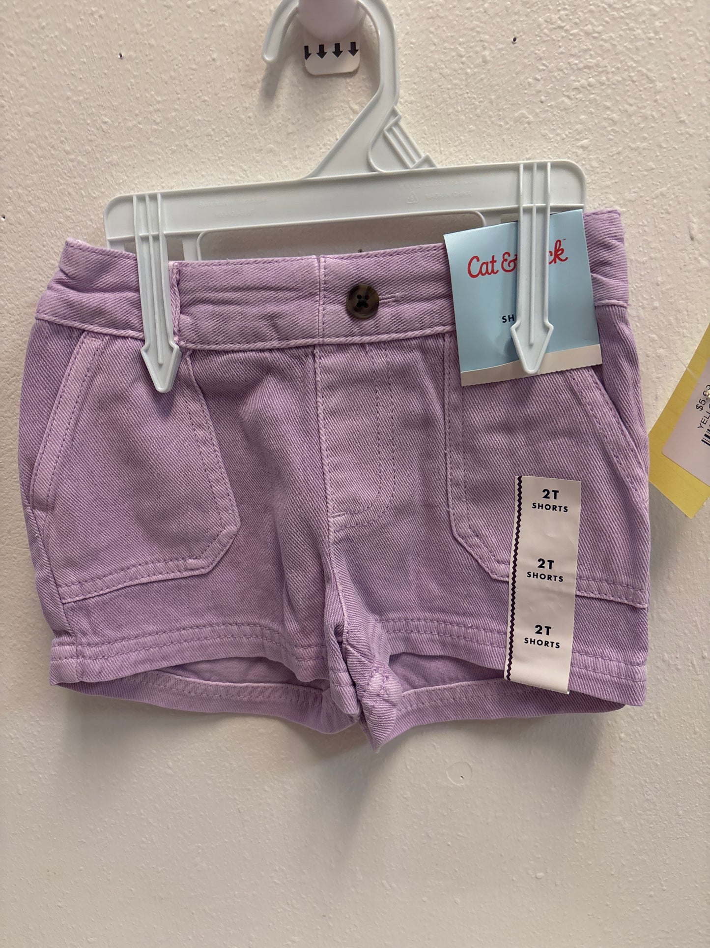 2T New Cat and Jack Purple Shorts