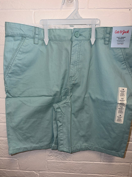 18 Husky NEW Flat Front Shorts Mint