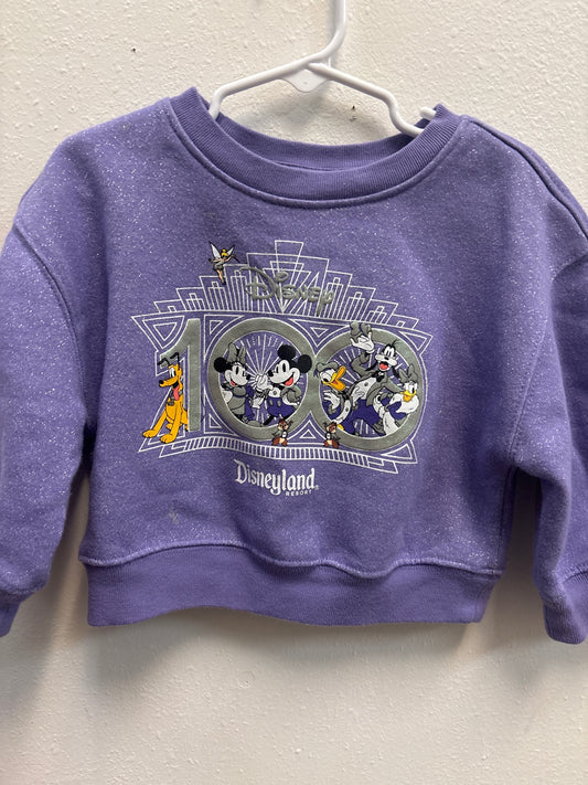 3T Disneyland 100 Sweatshirt