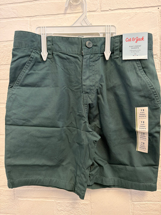 12 NEW Flat Front Shorts Olive Green