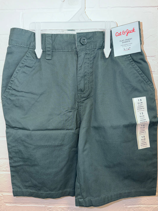 12 Slim NEW Flat Front Shorts Olive Green