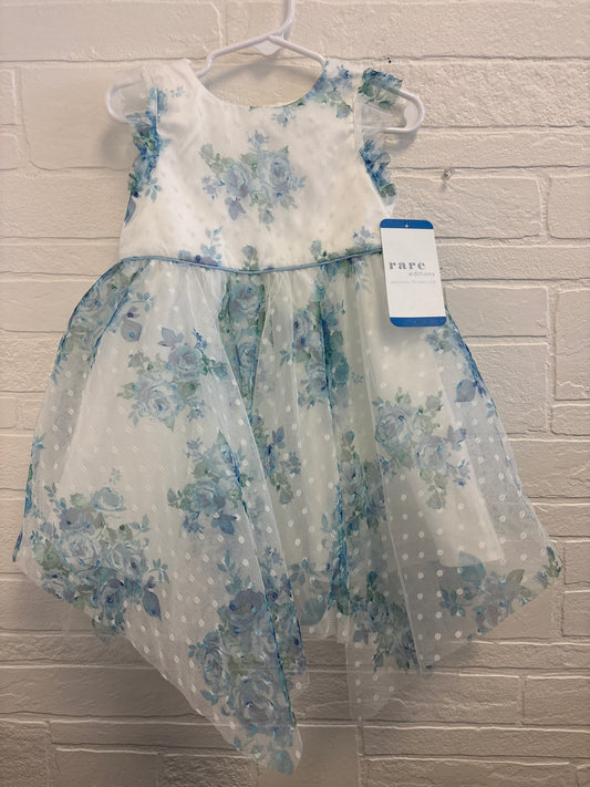 2T New Tulle Blue Roses Dress