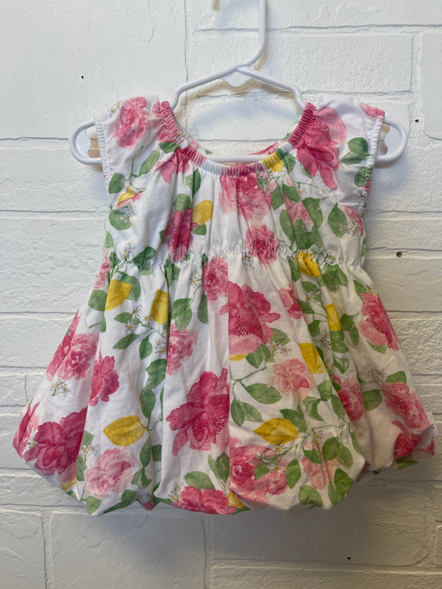 3/6m Burts Bees Floral Bubble Dress