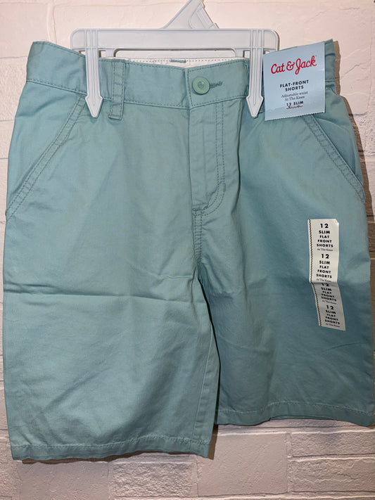 12 Slim NEW Flat Front Shorts Mint