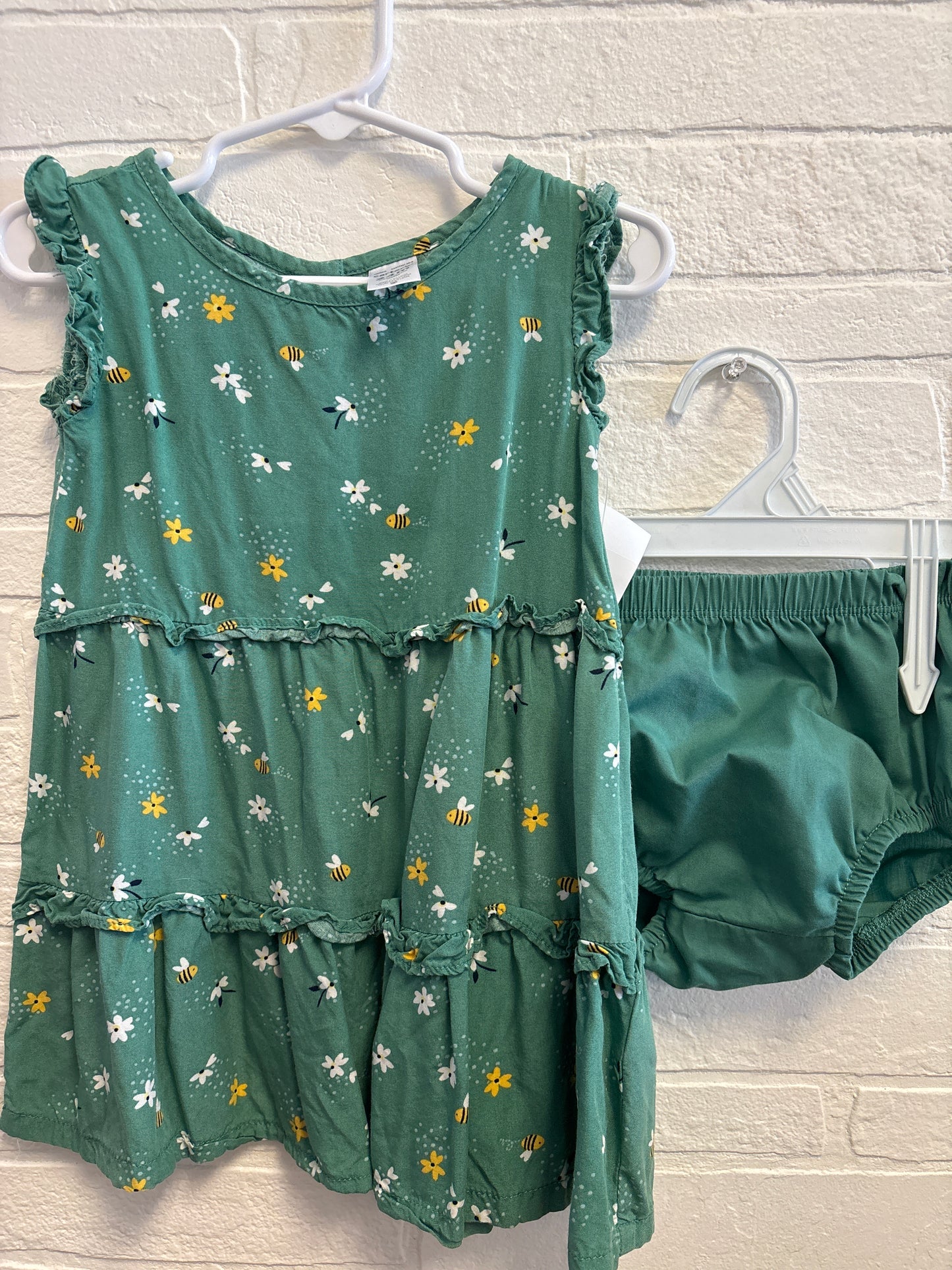 24m Carters Green Dress w Bees & Dragonfly’s