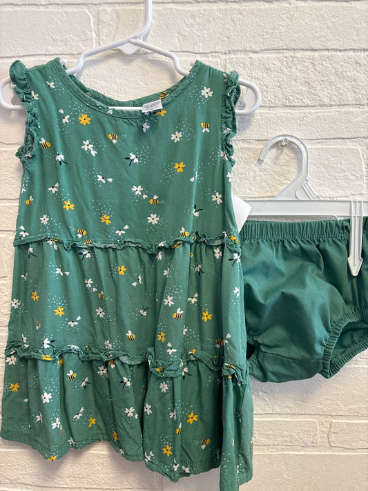 24m Carters Green Dress w Bees & Dragonfly’s