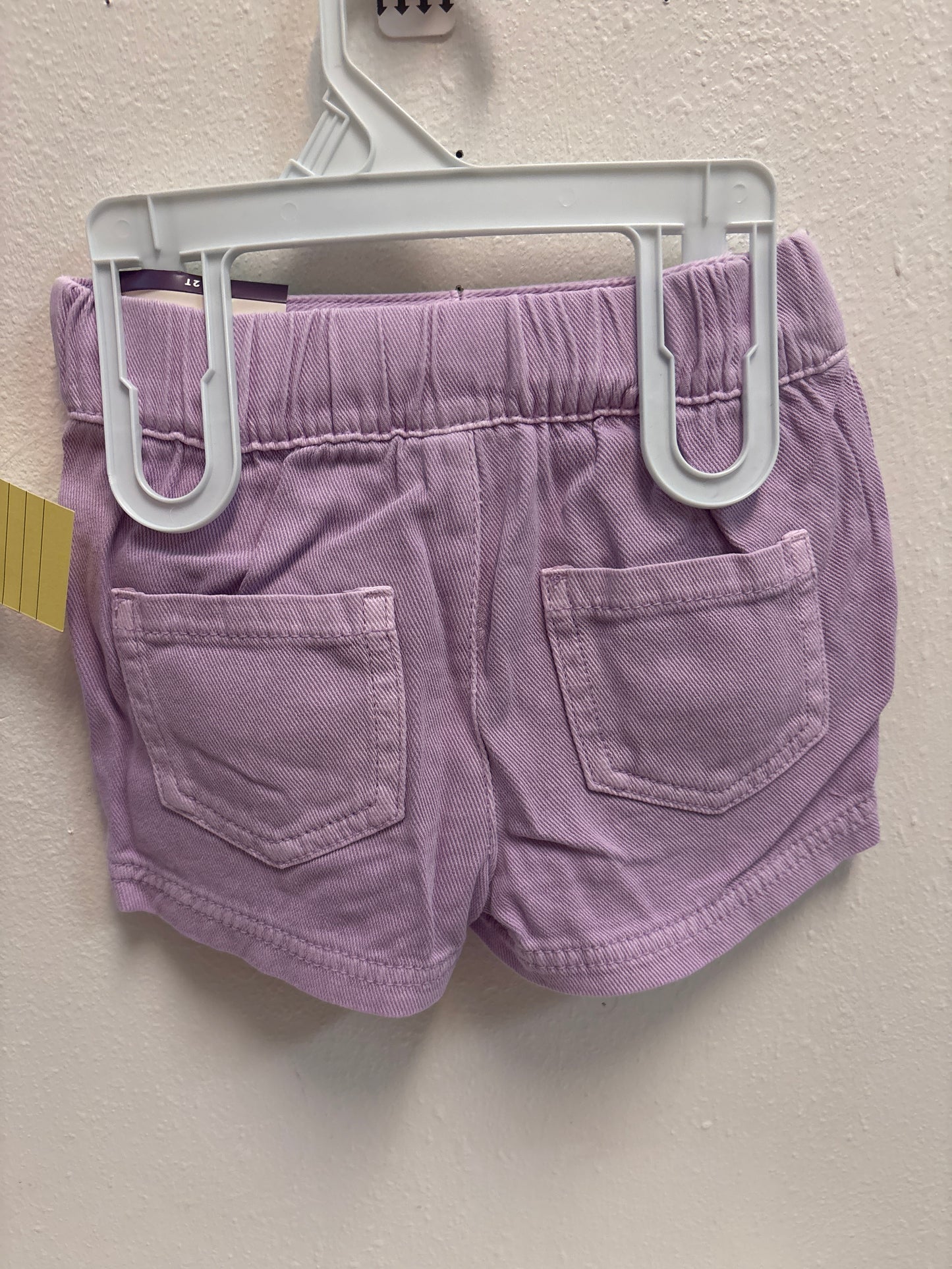 2T New Cat and Jack Purple Shorts