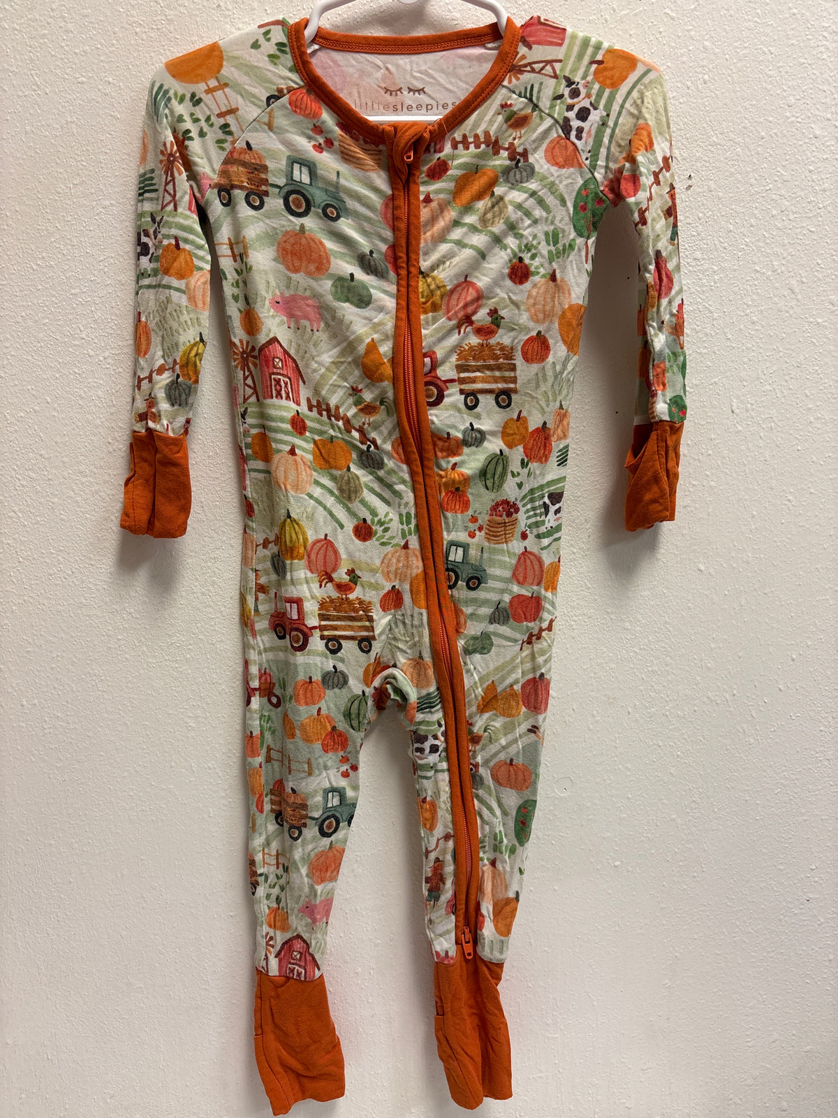 6-12m Little Sleepies Bamboo Fall Pajamas