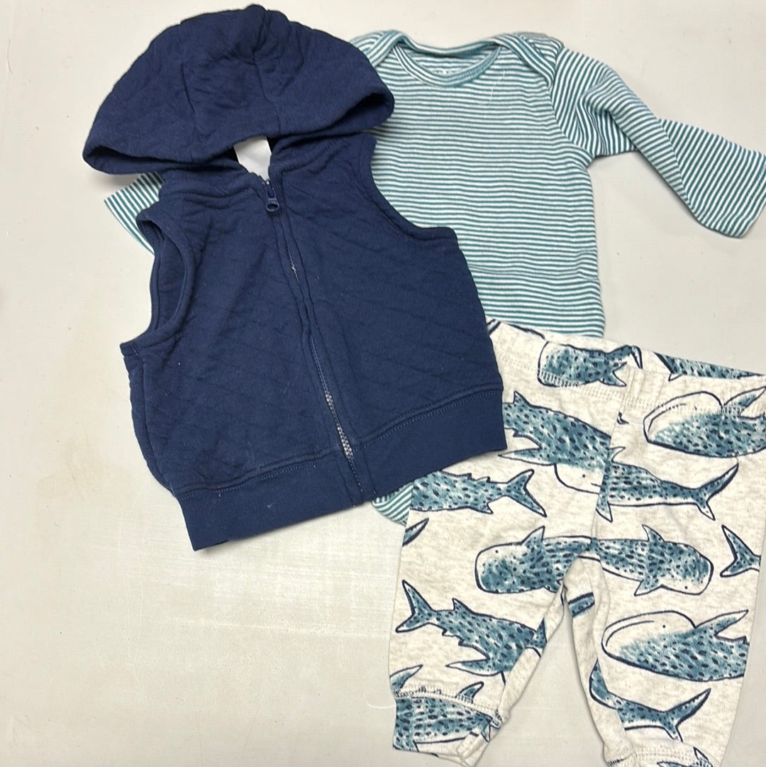3m Whale Outfit